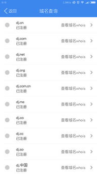 點擊網絡 解析互聯網域名注冊服務的價值與未來